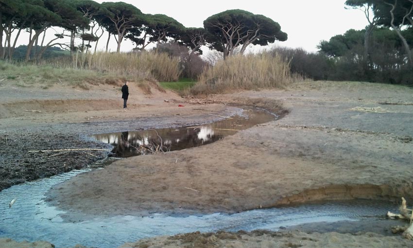 I fossi e lo stagno di Baratti (Piombino - LI)